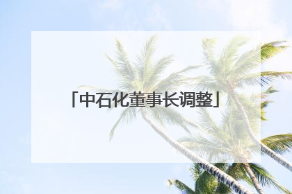 中石化董事长调整