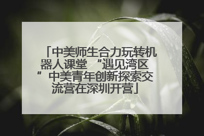 中美师生合力玩转机器人课堂 “遇见湾区”中美青年创新探索交流营在深圳开营