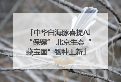 中华白海豚喜提AI“保镖” 北京生态“藏宝图”物种上新