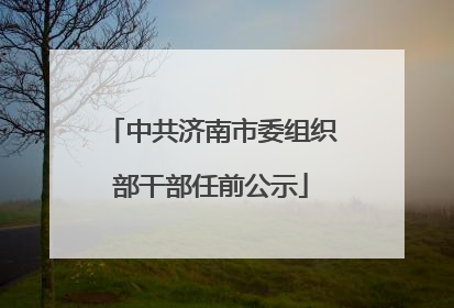 中共济南市委组织部干部任前公示