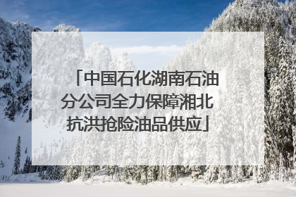 中国石化湖南石油分公司全力保障湘北抗洪抢险油品供应
