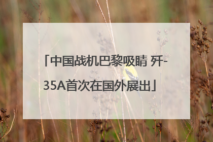 中国战机巴黎吸睛 歼-35A首次在国外展出