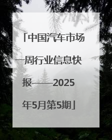 中国汽车市场一周行业信息快报——2025年5月第5期