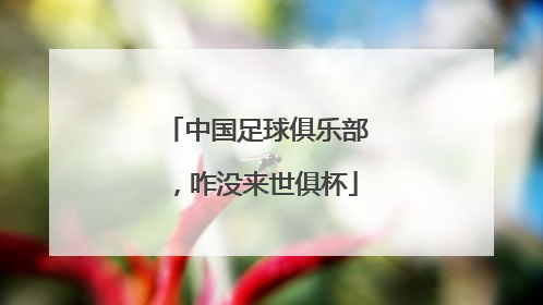 中国足球俱乐部，咋没来世俱杯