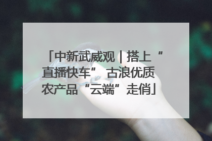 中新武威观｜搭上“直播快车” 古浪优质农产品“云端”走俏