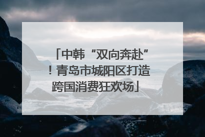 中韩“双向奔赴”！青岛市城阳区打造跨国消费狂欢场