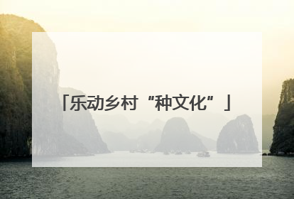 乐动乡村“种文化”