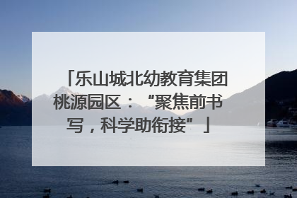 乐山城北幼教育集团桃源园区：“聚焦前书写，科学助衔接”