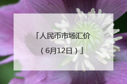 人民币市场汇价（6月12日）