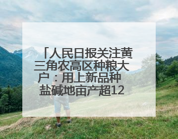 人民日报关注黄三角农高区种粮大户：用上新品种 盐碱地亩产超1200斤
