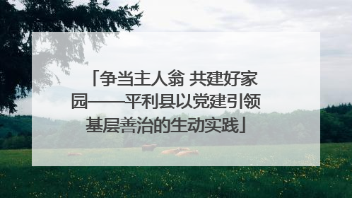 争当主人翁 共建好家园——平利县以党建引领基层善治的生动实践
