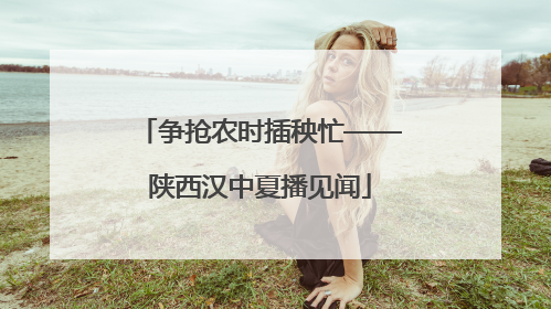 争抢农时插秧忙——陕西汉中夏播见闻