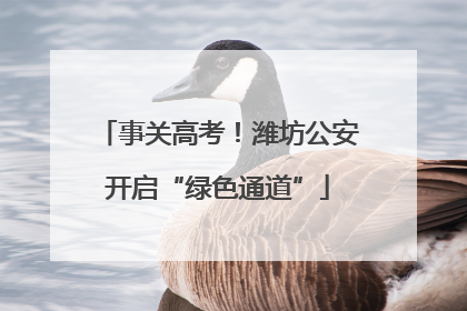 事关高考！潍坊公安开启“绿色通道”