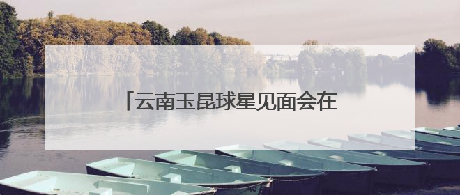 云南玉昆球星见面会在昆明南屏步行街举行