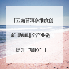 云南普洱多维度创新 助咖啡全产业链提升“咖位”