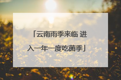 云南雨季来临 进入一年一度吃菌季