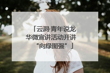云洞·青年说龙华微宣讲活动开讲“向绿图强”