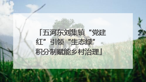 五河东刘集镇“党建红”引领“生态绿” 积分制赋能乡村治理