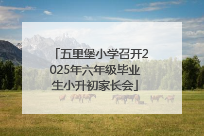 五里堡小学召开2025年六年级毕业生小升初家长会