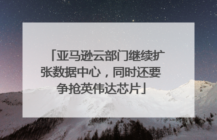 亚马逊云部门继续扩张数据中心，同时还要争抢英伟达芯片