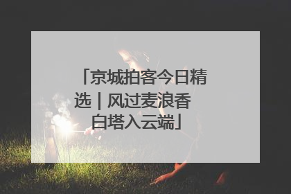 京城拍客今日精选｜风过麦浪香 白塔入云端