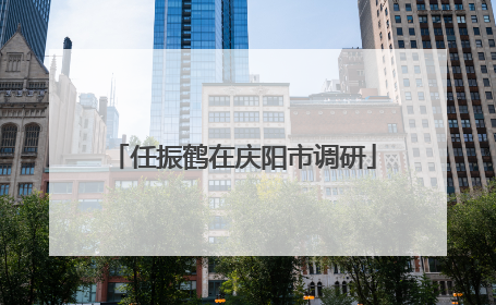 任振鹤在庆阳市调研