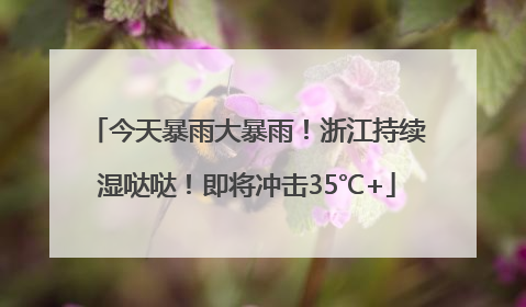 今天暴雨大暴雨！浙江持续湿哒哒！即将冲击35℃+