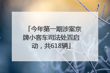 今年第一期涉案京牌小客车司法处置启动，共618辆
