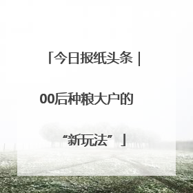 今日报纸头条｜00后种粮大户的“新玩法”