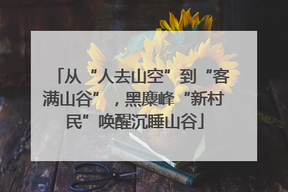从“人去山空”到“客满山谷”，黑麋峰“新村民”唤醒沉睡山谷