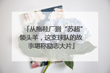 从拖鞋厂到“苏超”领头羊，这支球队的故事堪称励志大片