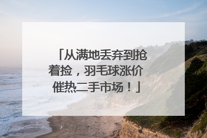 从满地丢弃到抢着捡，羽毛球涨价催热二手市场！