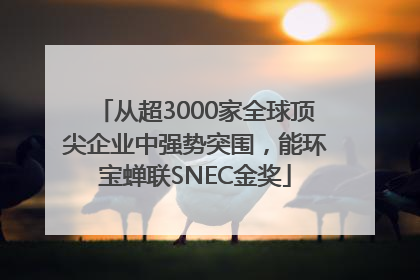 从超3000家全球顶尖企业中强势突围，能环宝蝉联SNEC金奖