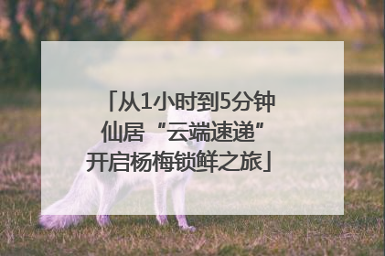 从1小时到5分钟 仙居“云端速递”开启杨梅锁鲜之旅