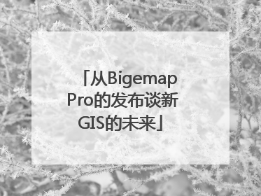 从Bigemap Pro的发布谈新GIS的未来