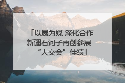 以展为媒 深化合作 新疆石河子再创参展“大交会”佳绩