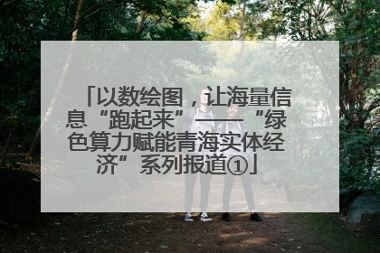 以数绘图，让海量信息“跑起来”——“绿色算力赋能青海实体经济”系列报道①