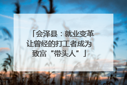会泽县：就业变革让曾经的打工者成为致富“带头人”