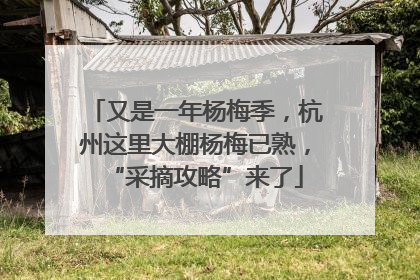 又是一年杨梅季，杭州这里大棚杨梅已熟，“采摘攻略”来了