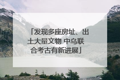 发现多座房址、出土大量文物 中乌联合考古有新进展