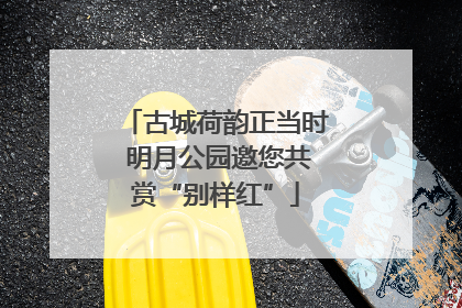 古城荷韵正当时 明月公园邀您共赏“别样红”