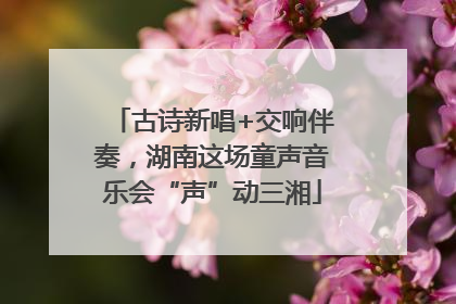 古诗新唱+交响伴奏，湖南这场童声音乐会“声”动三湘