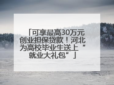可享最高30万元创业担保贷款！河北为高校毕业生送上“就业大礼包”