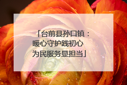 台前县孙口镇：暖心守护践初心 为民服务显担当
