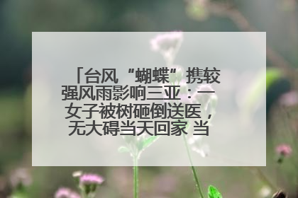 台风“蝴蝶”携较强风雨影响三亚：一女子被树砸倒送医，无大碍当天回家 当地已紧急清障