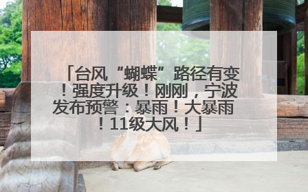 台风“蝴蝶”路径有变！强度升级！刚刚，宁波发布预警：暴雨！大暴雨！11级大风！