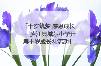 十岁筑梦 感恩成长——庐江县城东小学开展十岁成长礼活动