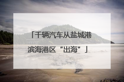 千辆汽车从盐城港滨海港区“出海”