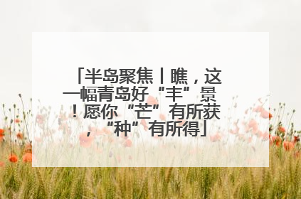 半岛聚焦丨瞧，这一幅青岛好“丰”景！愿你“芒”有所获，“种”有所得