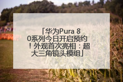 华为Pura 80系列今日开启预约！外观首次亮相：超大三角镜头模组